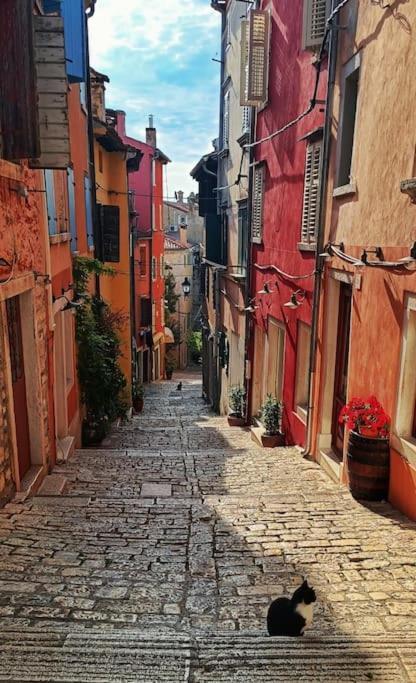 Little Heaven Lägenhet Rovinj Exteriör bild
